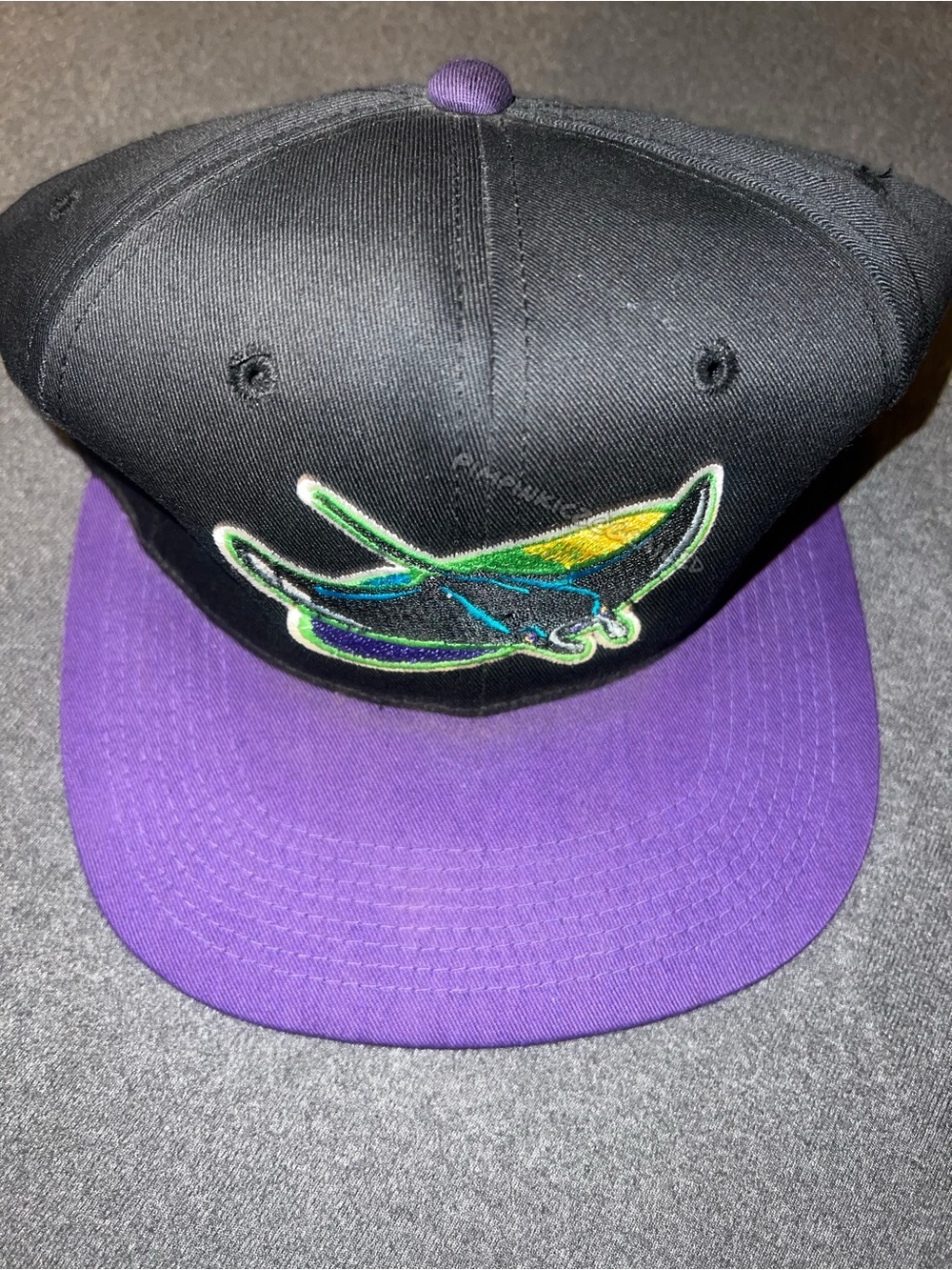 Vintage Tampa Bay Devil Rays MLB Snapback Hat Cap